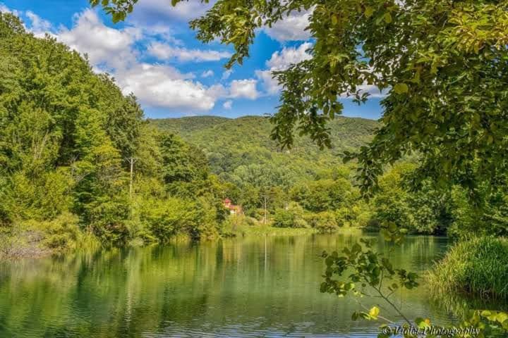 Apartmani Grza Paraćin Zewnętrze zdjęcie