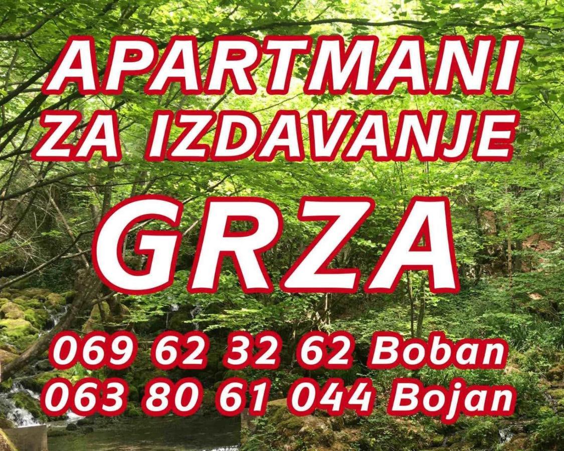 Apartmani Grza Paraćin Zewnętrze zdjęcie