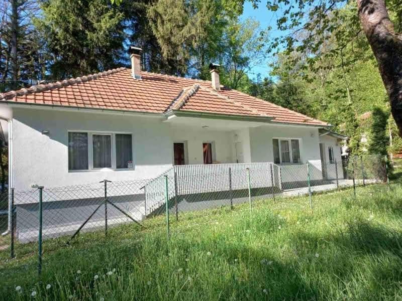 Apartmani Grza Paraćin Zewnętrze zdjęcie