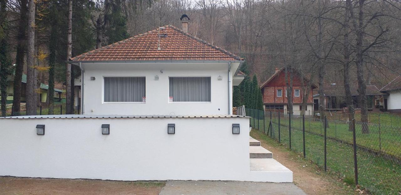 Apartmani Grza Paraćin Zewnętrze zdjęcie