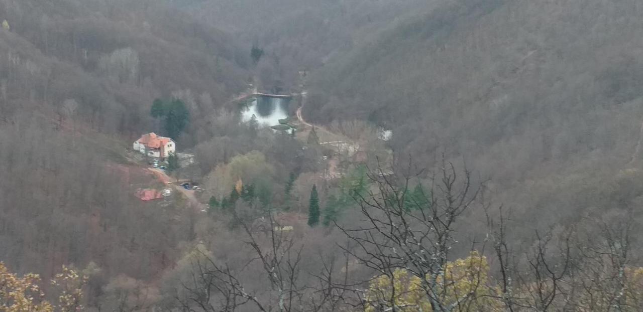 Apartmani Grza Paraćin Zewnętrze zdjęcie
