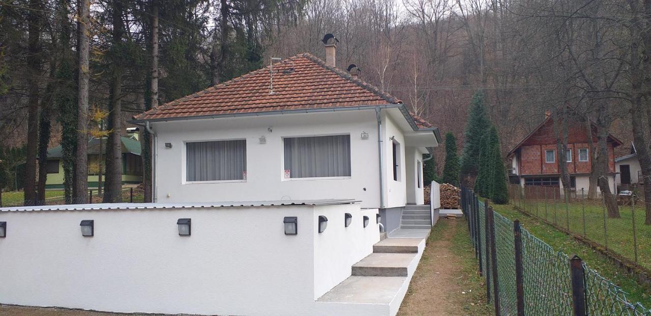 Apartmani Grza Paraćin Zewnętrze zdjęcie