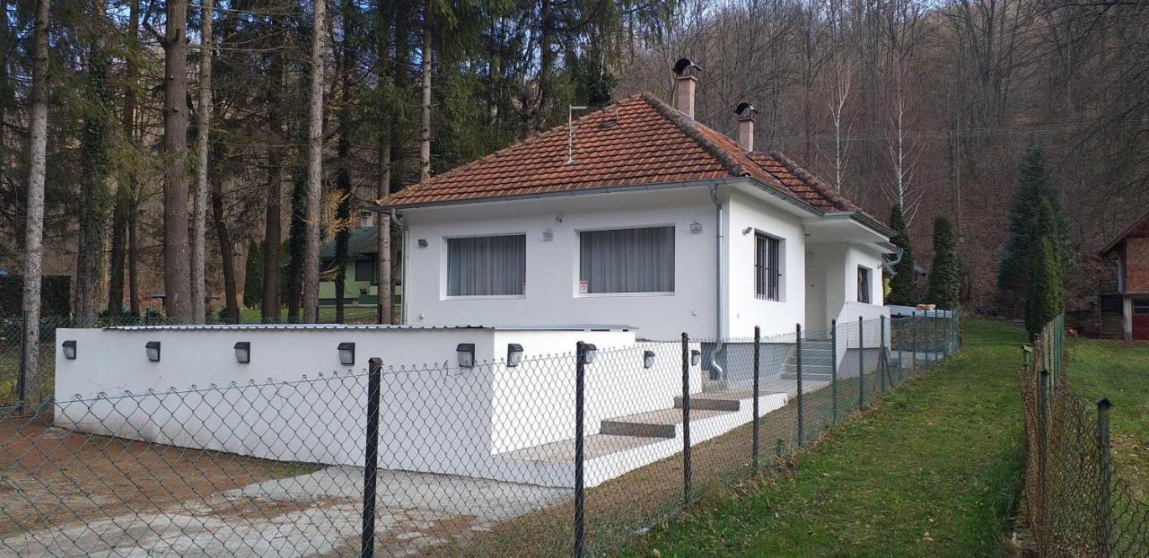 Apartmani Grza Paraćin Zewnętrze zdjęcie