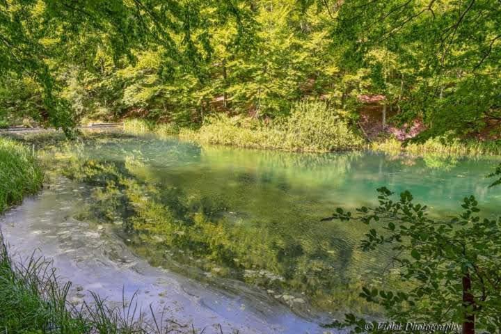 Apartmani Grza Paraćin Zewnętrze zdjęcie